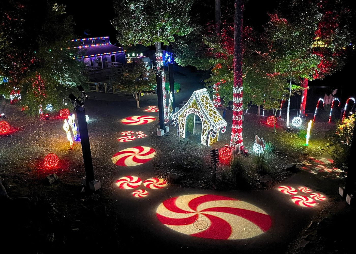 Greensboro Zoo 1