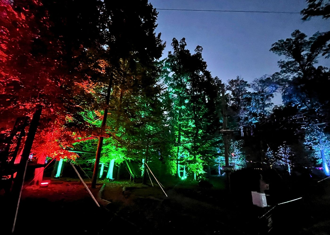 Greensboro Zoo 2
